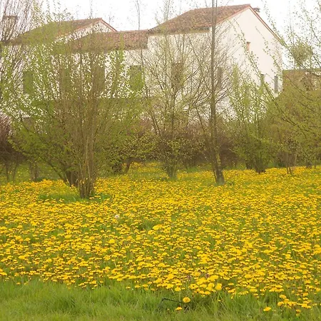Feriehus Gaudio Ponte San Nicolo