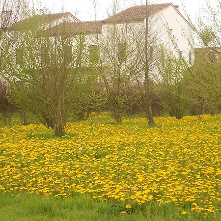 Дом отдыха Gaudio Ponte San Nicolo