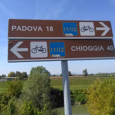 Gaudio